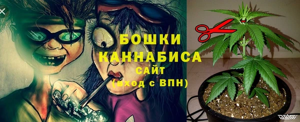 МДМА Бородино