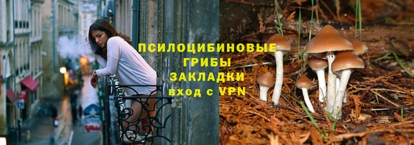 МДМА Бородино